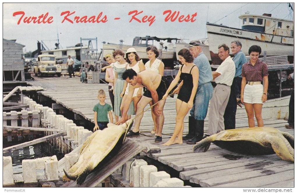CPM Tortues Géantes Key West - Pêche - Bâteau De Pêche - Animé - Key West & The Keys