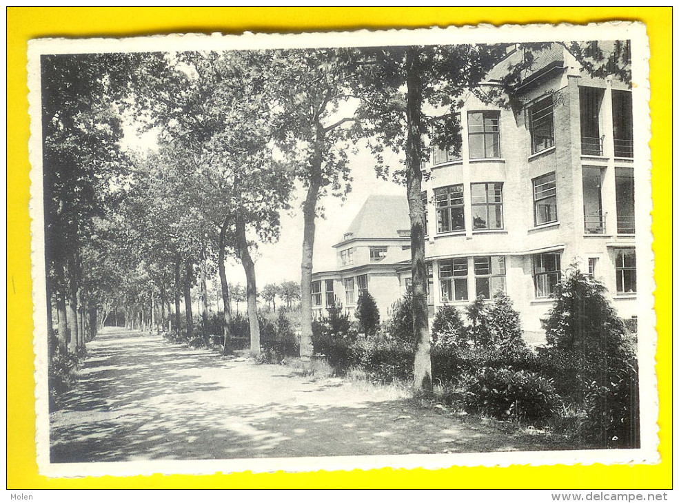 SANATORIUM ELISABETH : ZIJZICHT HOOFDGEBOUW Te SIJSELE DAMME - HOPITAL Ou CLINIQUE 1907 - Damme