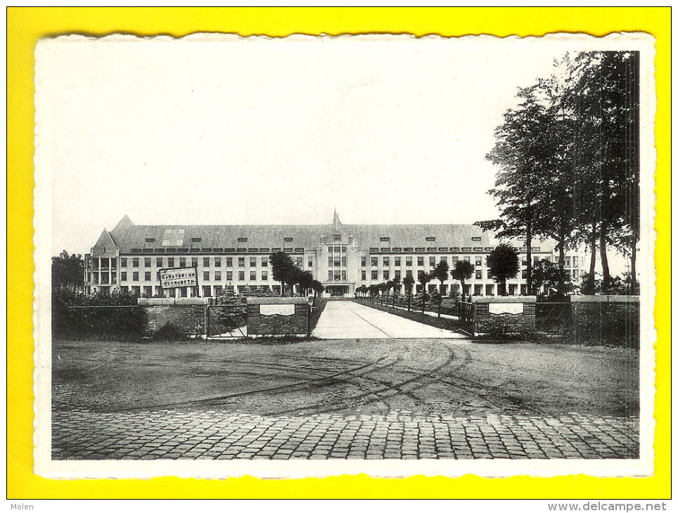 HOOFDGEBOUW Van Het SANATORIUM ELISABETH Te SIJSELE DAMME - HOPITAL Ou CLINIQUE 1912 - Damme