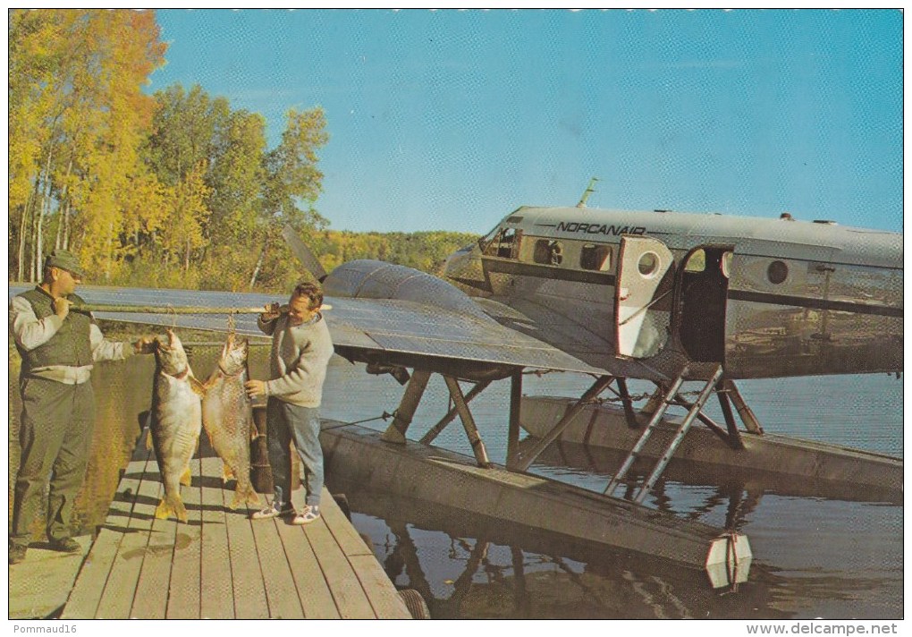 CPM Lac La Ronge, Saskatchewan - Paradis Des Pêcheurs - Hydravion - Animée - Autres & Non Classés