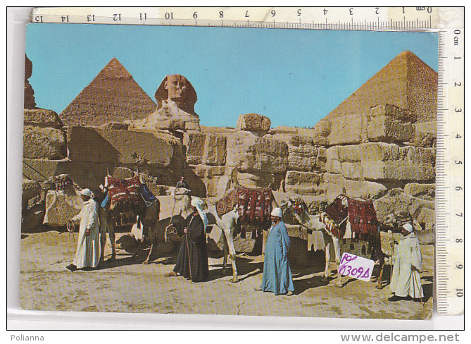 PO0310D# EGITTO - EGYPT - PIRAMIDE DI CHEOPE   VG - Gizeh