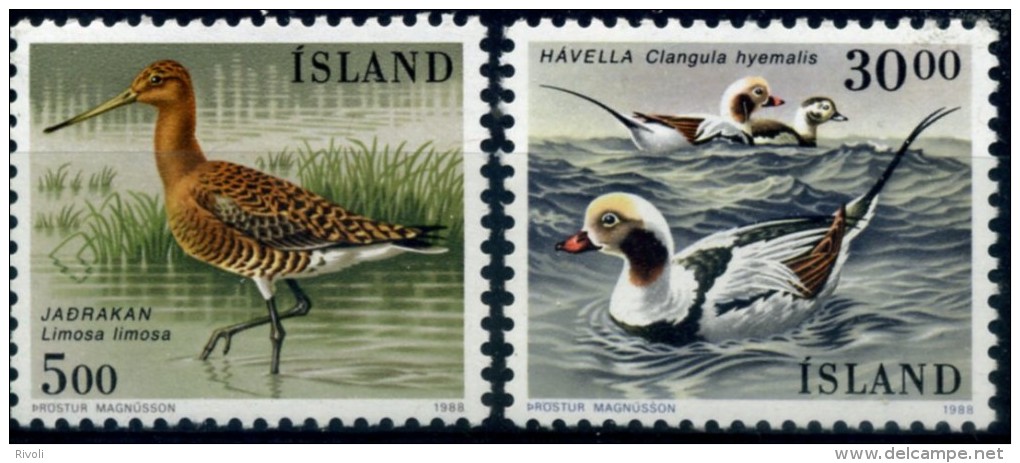 ISLANDE 1989 YVERT  N°650/651 LUXE ** MNH - Unused Stamps