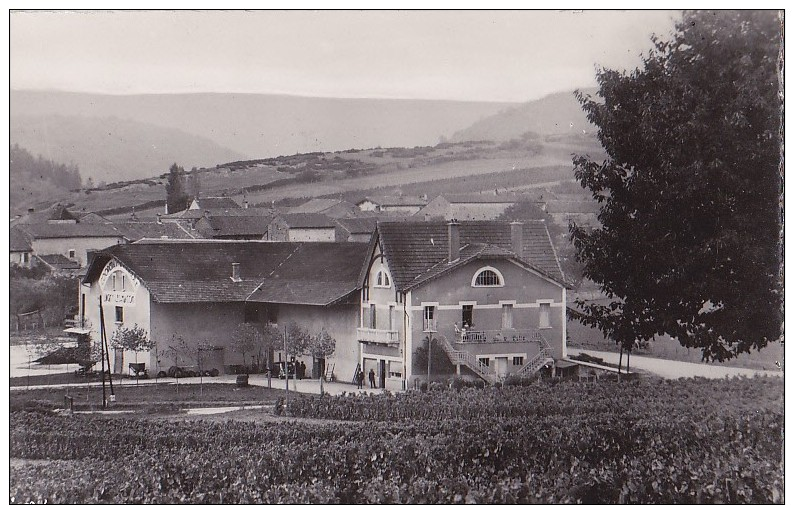 LUGNY Les MACON  Perspective Sur La Cave Coopérative Et Le Hameau De Collongette - Other & Unclassified