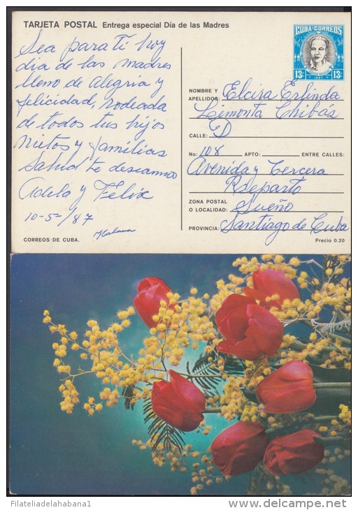 1987-EP-42 CUBA 1987. Ed.142f. MOTHER DAY SPECIAL DELIVERY. ENTERO POSTAL. POSTAL STATIONERY. TULIPANES. FLOWERS. FLORES - Neufs