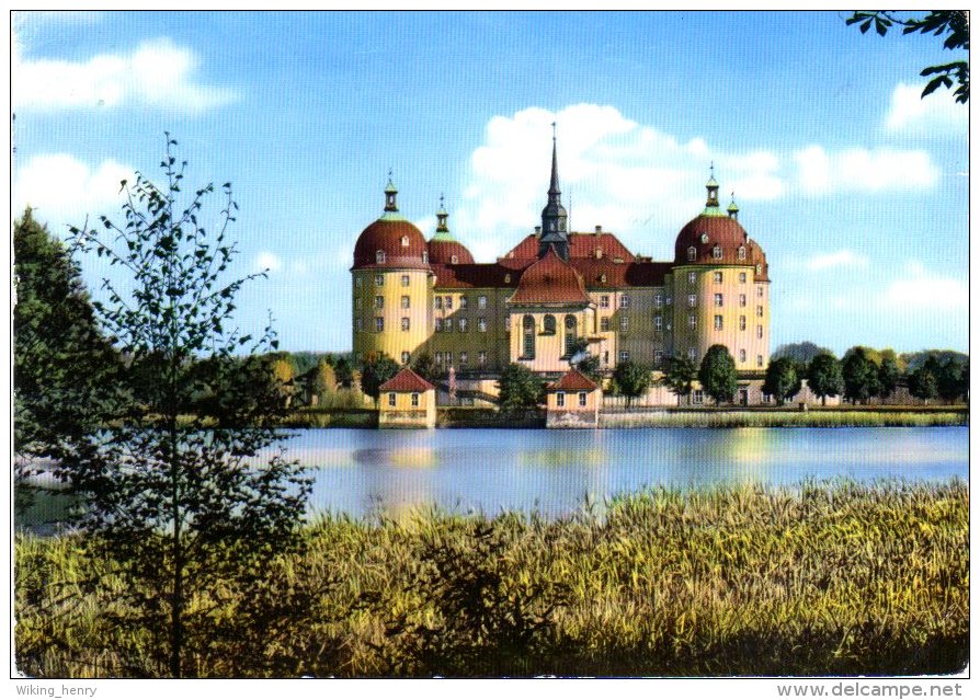 Moritzburg - Schloss Moritzburg 5 - Moritzburg