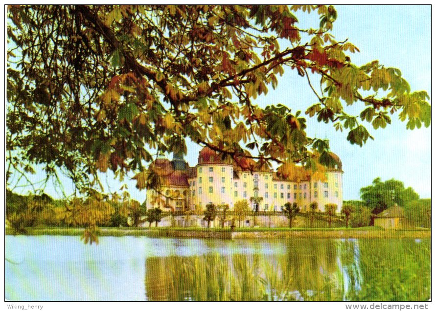 Moritzburg - Schloss Moritzburg 9 - Moritzburg