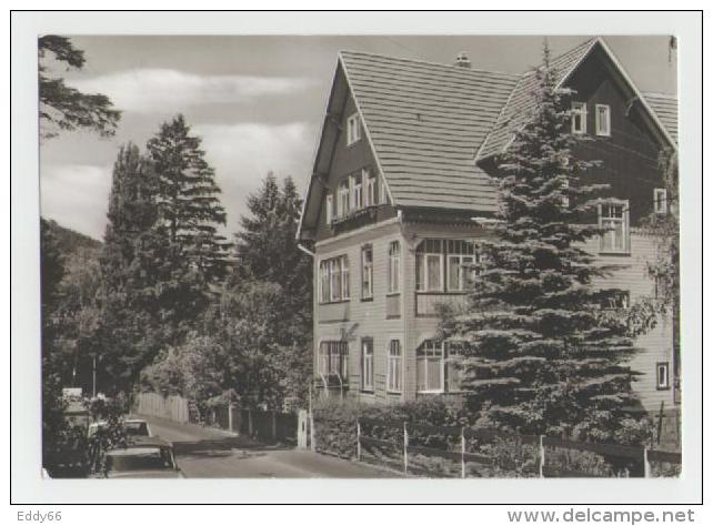 Tabarz-Haus Waldfrieden - Tabarz