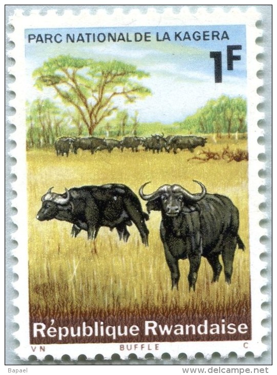 N° Michel 108A (N° Yvert 102) - Timbre Du Rwanda (MNH) (1965)  - Cape Buffalos (JS) - Neufs