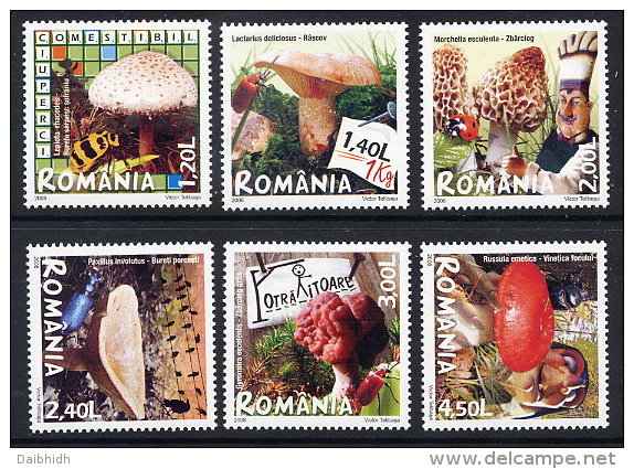 ROMANIA 2008 Edible Fungi Set Of 6   MNH / **.  Michel 6262-67 - Neufs