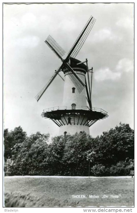 THOLEN (Zeeland) - Molen/moulin - Close-up Van Stellingmolen De Hoop In 1962. - Tholen