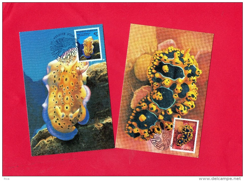 2 Cartes En 1° Jour Du 25/4/1990  (( Aquarium De Nouméa )) - Cartoline Maximum
