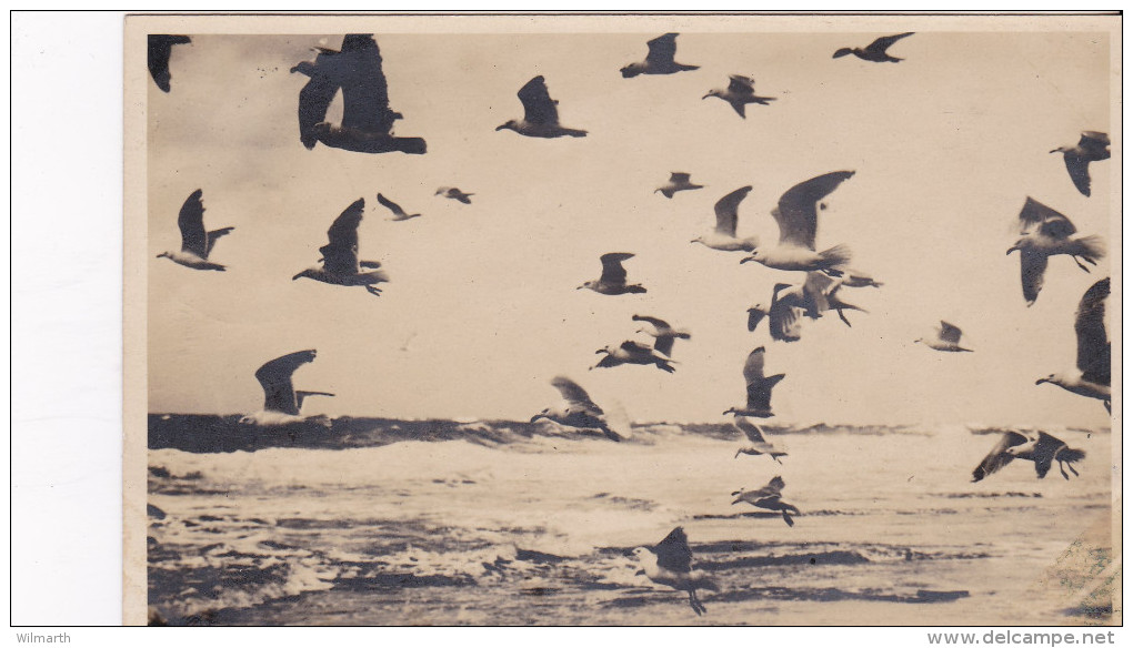 Nordseebad St. Peter Ording Um 1925 - St. Peter-Ording