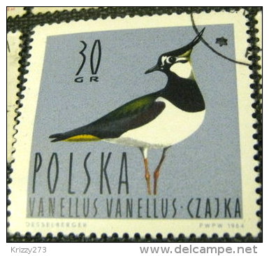 Poland 1964 Waterfowl Birds Vanellus Vanellus 30gr - Used - Oblitérés