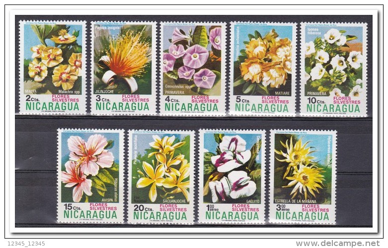 Nicaragua 1974, Postfris MNH, Flowers - Nicaragua