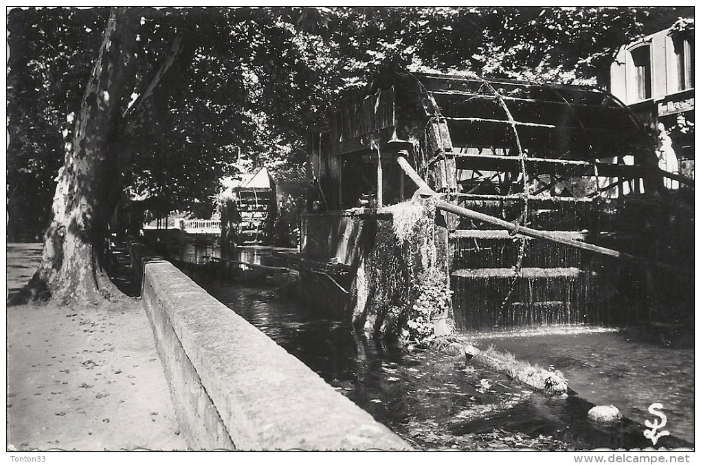 L'ISLE SUR SORGUE - 84 -  L'Allée De Villevieille Et Ses Roues à Aube - JL - - Autres & Non Classés