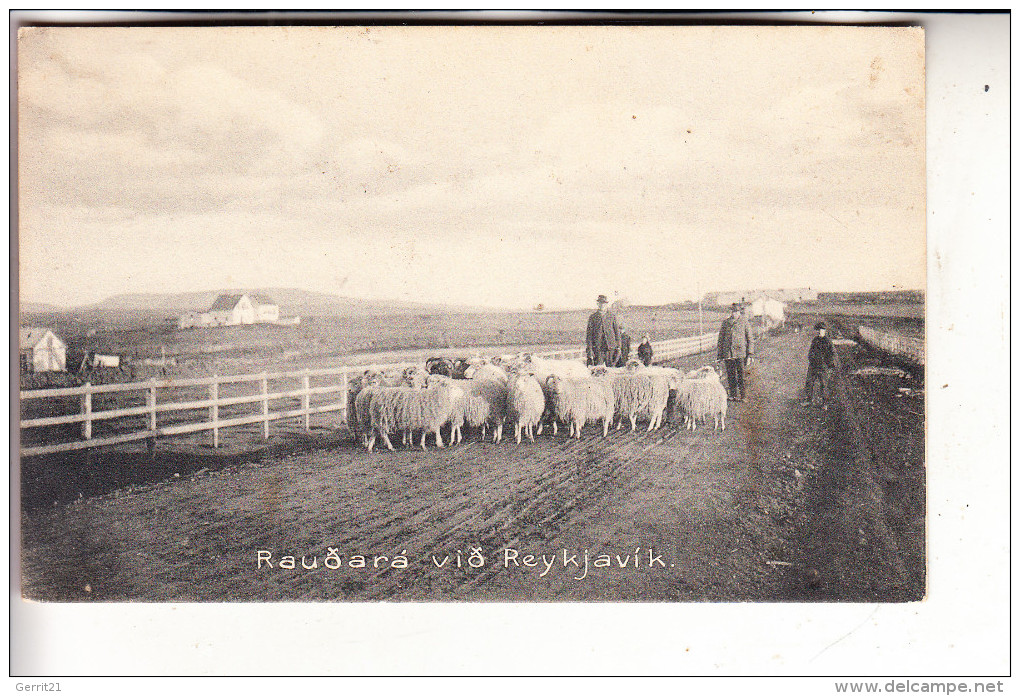 ISLAND - Reykjavik, Raudara - Islande