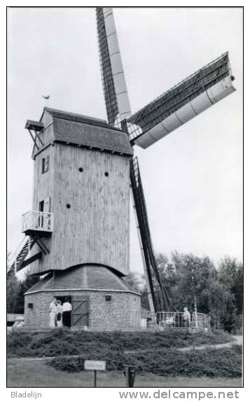 GITS Bij Hooglede (W.Vl.) - Molen/moulin - De Grijspeerdmolen Kort Na De Overplaatsing En Restauratie Van 1980-1982 - Hooglede