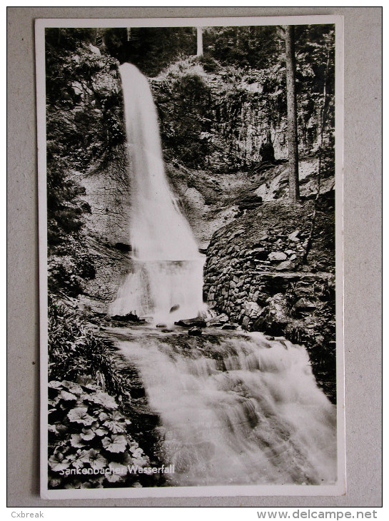 Sankenbacher Wasserfall - Baiersbronn