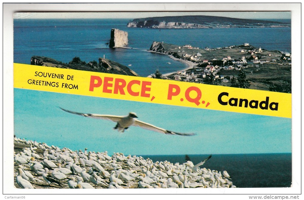 Canada - Souvenir De Percé, P.Q - Greetings From Percé, P.Q - Percé