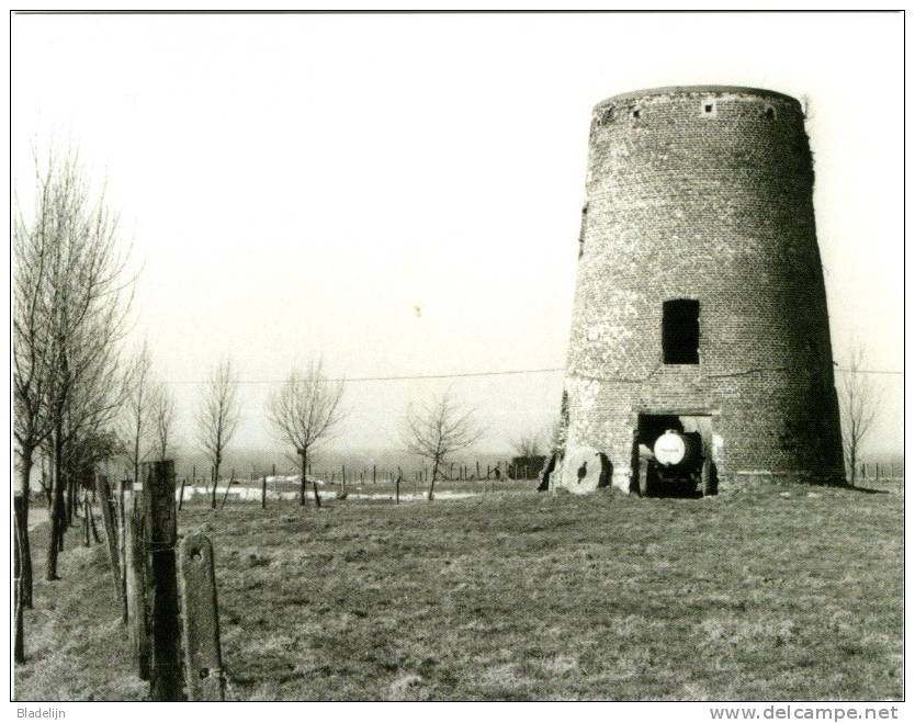 HAALTERT (Oost-Vlaanderen) - Molen/moulin - Historische Opname Van De Verdwenen Stenen Molenromp (´Topmolen´) In 1982 - Haaltert