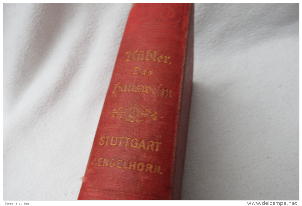 Marie Susanne Kübler "Das Hauswesen" Mit Einem Vollständigen Kochbuch Von 1890 - Comidas & Bebidas