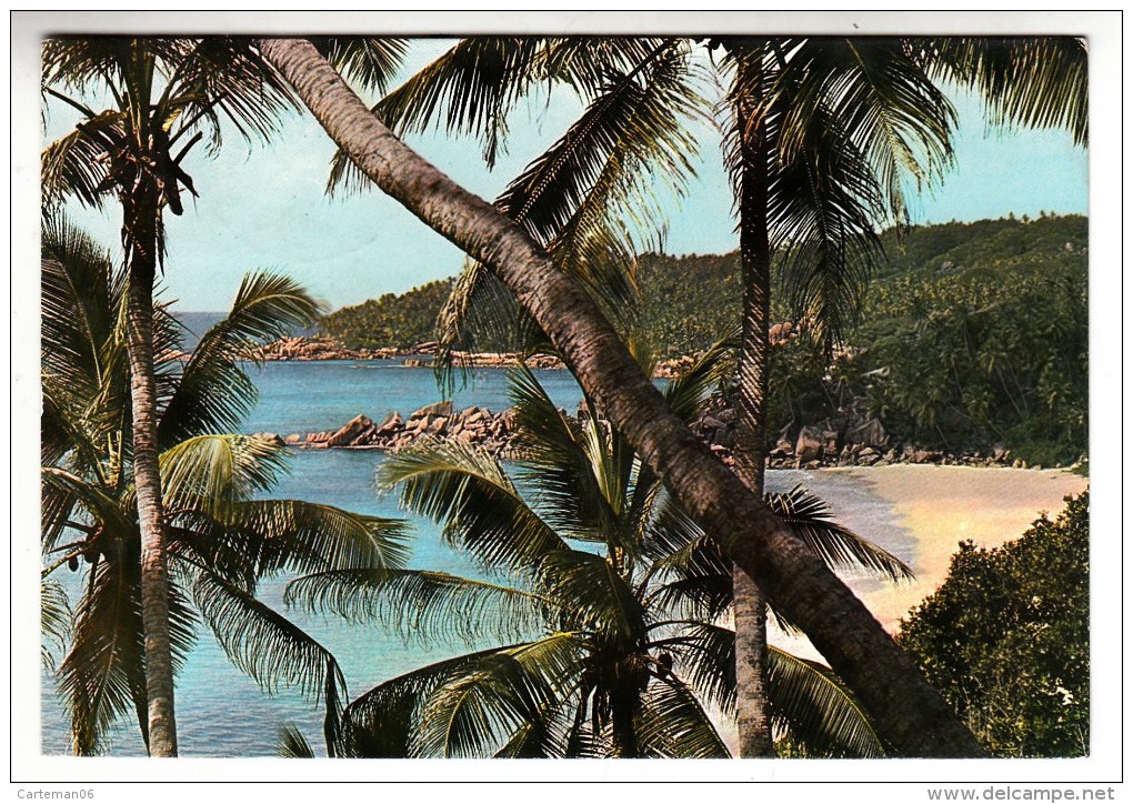 Seychelles - La Digue Island - Seychellen