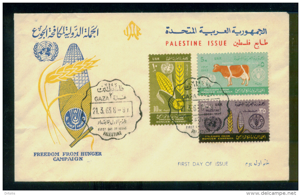 EGYPT / 1963 / PALESTINE / GAZA  / UN / FAO / FREEDOM FROM HUNGER / FDC - Palestine