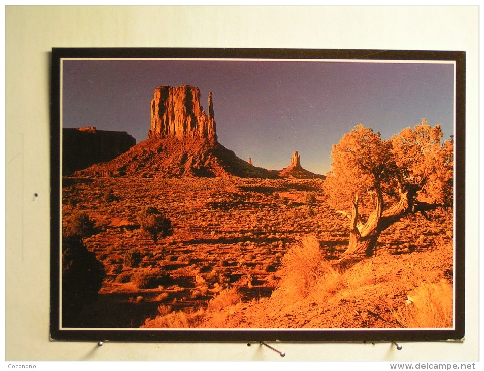 Left Mitten Butte At Beautiful Monument Valley - Monument Valley