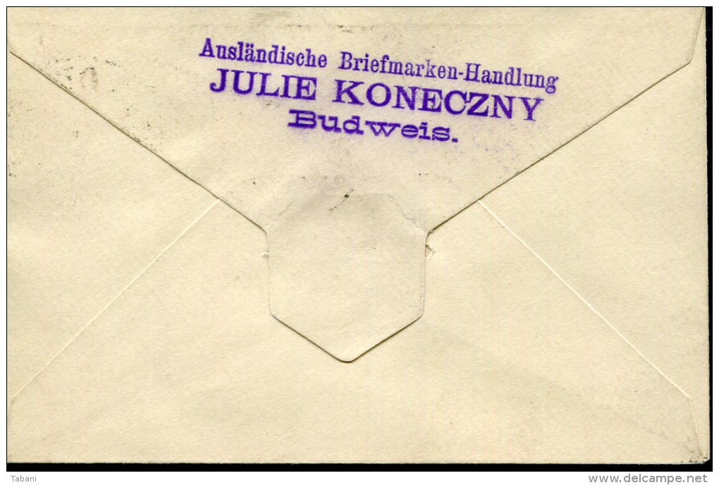 SWEDEN 1892 LINKÖPING VINTAGE STATIONARY LADY COVER - Briefe U. Dokumente