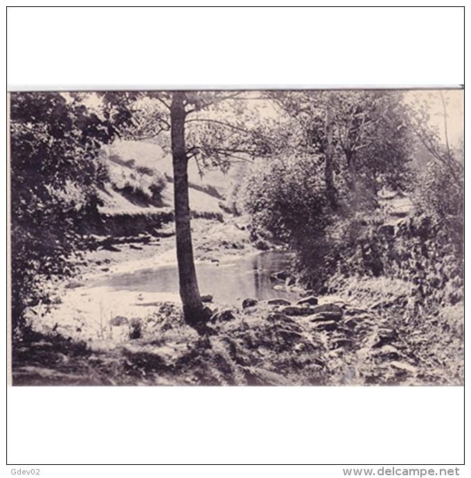 LGOTP8308-LFTD9664.Tarjeta Postal De LUGO.Arboles.Bosque,arroyo.PAISAJE DE LA FABEGA.MONDOÑEDO.Lugo - Lugo