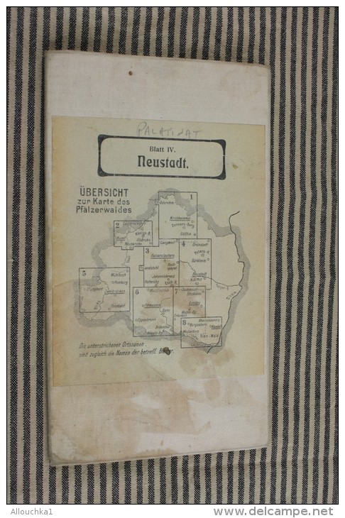 NEUSTADT RHEINLAND Die PFALZ BLATT IV UBERSICHT ZUR KARTE PFALZERWAL->GEOGRAPHISCHER DIENSTKARTE TOPOGRAPHIQUE PALATINAT - Cartes Topographiques