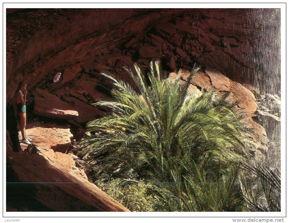 (346) Australia - NT - King´s Canyon - The Red Centre