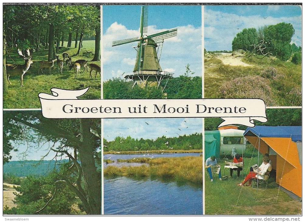 NL.- Groeten Uit Mooi Drente. Molen. Tent. Caravan. Herten. Reeën. - Gruss Aus.../ Gruesse Aus...