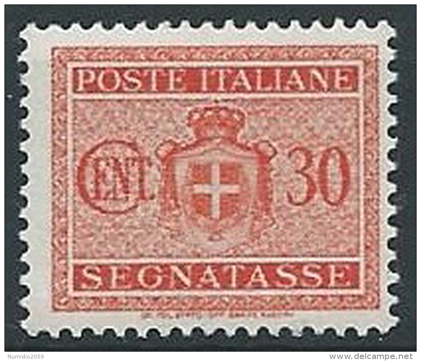 1945 LUOGOTENENZA SEGNATASSE 30 CENT NO FILIGRANA MNH ** - T70 - Segnatasse