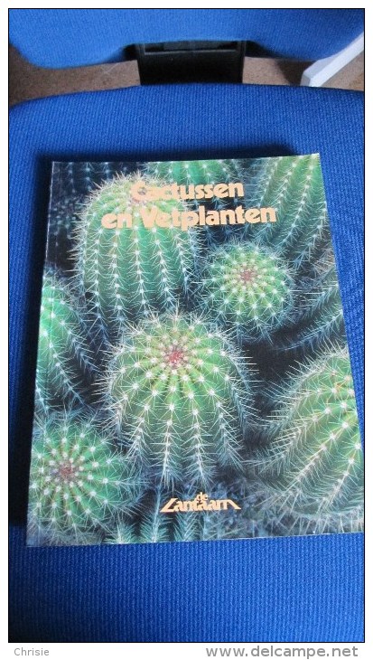 BOEK CACTUSSEN EN VETPLANTEN PHILIP PERL DE LANTAARN B512 - Andere & Zonder Classificatie