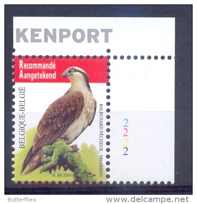 Belgie - 2011- OBP - **4090 - PL 2  - Visarend - Vogels - A.Buzin ** - Unused Stamps