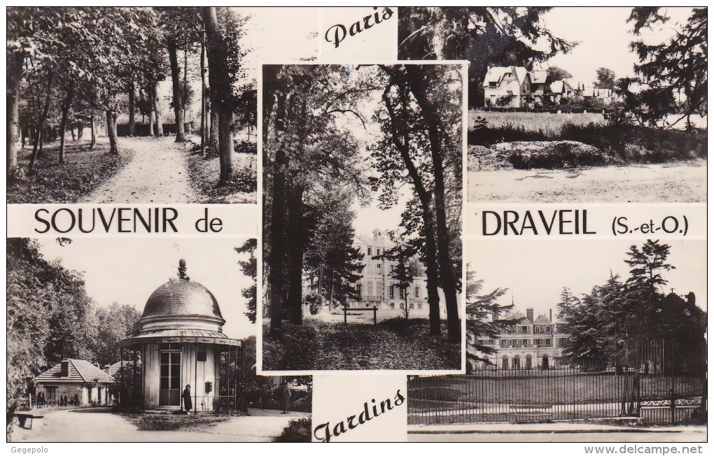 DRAVEIL -  Paris Jardins - Souvenir De ....... - Draveil