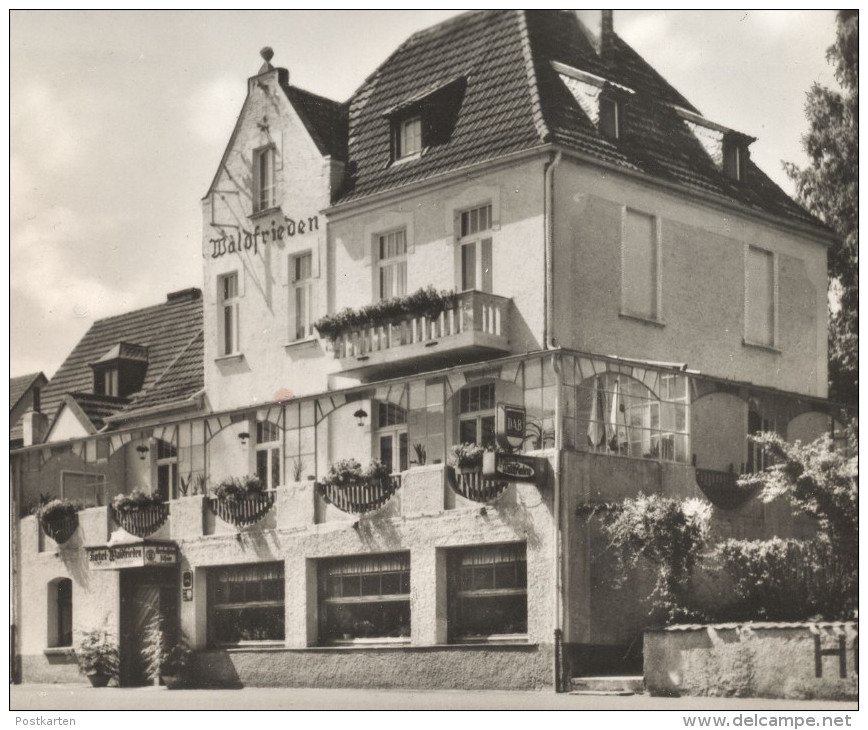 ÄLTERE POSTKARTE HENNEF SIEG HOTEL WALDFRIEDEN DAB Bier Beer Ansichtskarte Cpa Postcard AK - Hennef