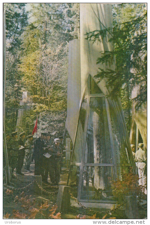 NORTH KOREA - Trees Inscribed With Slogans In The Chongbong Camp - Corée Du Nord