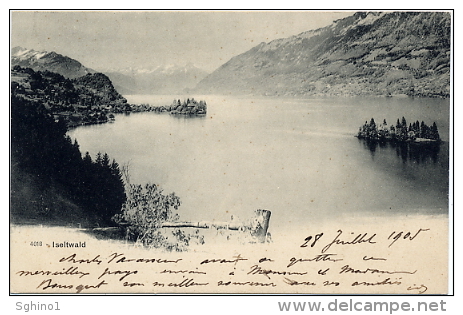 CPA De ISELTWALD, 1905 - Iseltwald