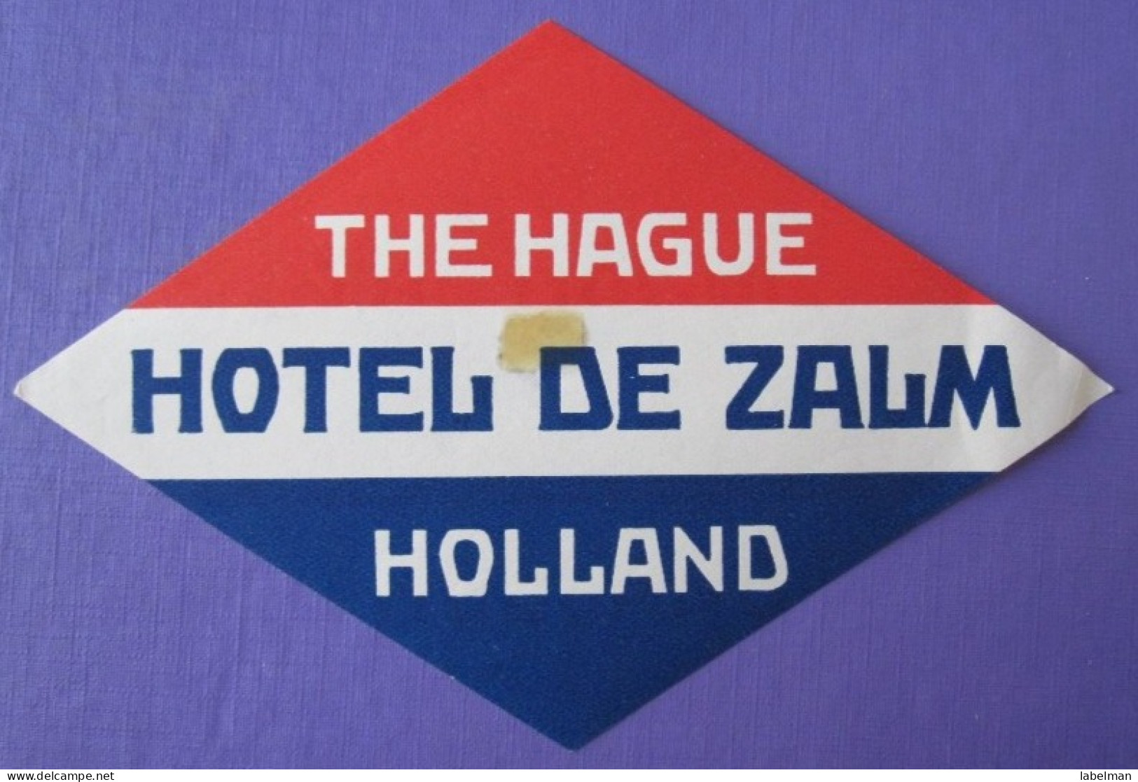 HOTEL MOTEL PENSION DE ZALM THE HAGUE DEN HAAG HOLLAND NETHERLANDS TAG DECAL STICKER LUGGAGE LABEL ETIQUETTE AUFKLEBER - Adesivi Di Alberghi