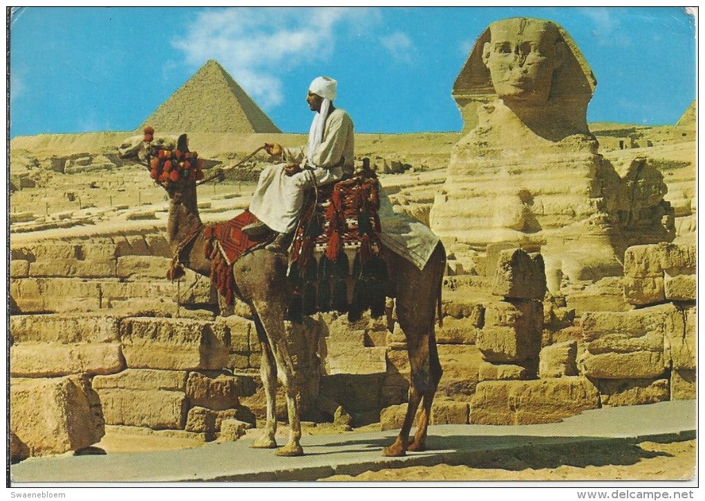 EG.- Giza. The Sphinx And Mykerinos Pyramid. Pyramide. Gizeh. Kameel. Egypte. Egypt. - Gizeh