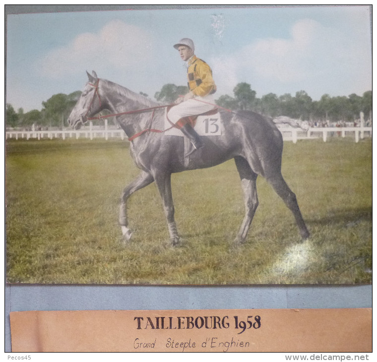 Photo : "Taillebourg" 1958 / Grand Steeple D'Enghien. - Reiten