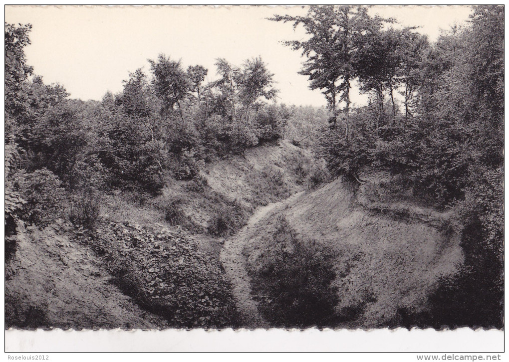 ZWARTBERG / MONT-NOIR : Sentier Des Amoureux - Genk