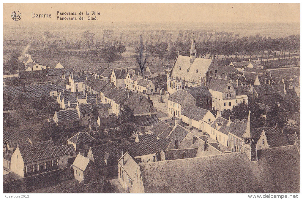 DAMME : Panorama De La Ville - Damme