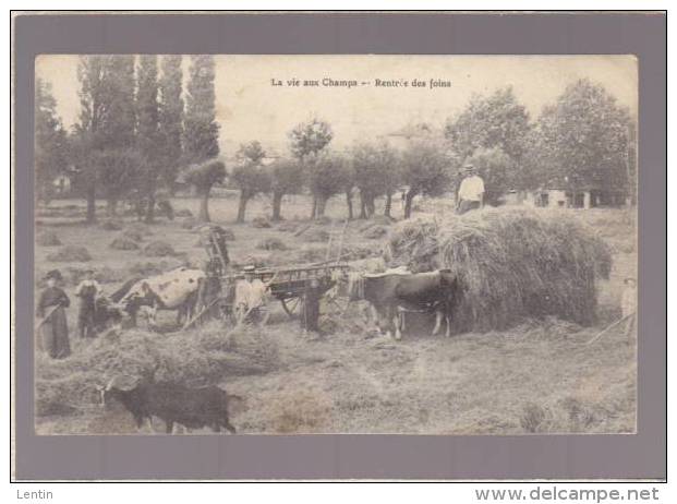 Agriculture - La Rentrée Des Foins - Attelage Boeufs - Chevres -  Vie Aux Champs - Voir état - Attelages