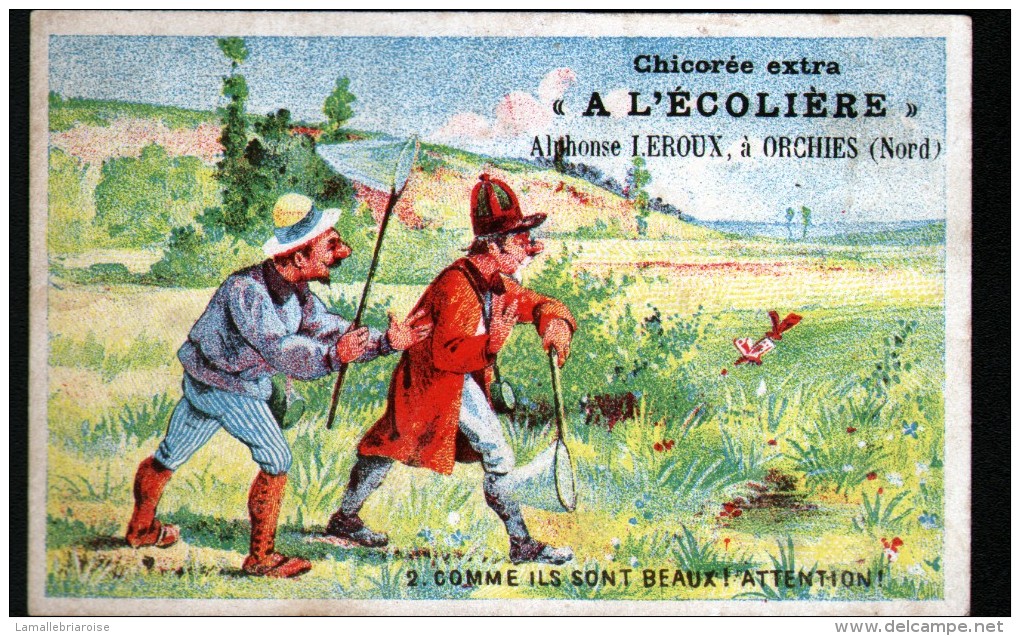 CHROMO, CHICOREE A L'ECOLIERE ( LEROUX ), N°2 COMME ILS SONT BEAUX - Autres & Non Classés