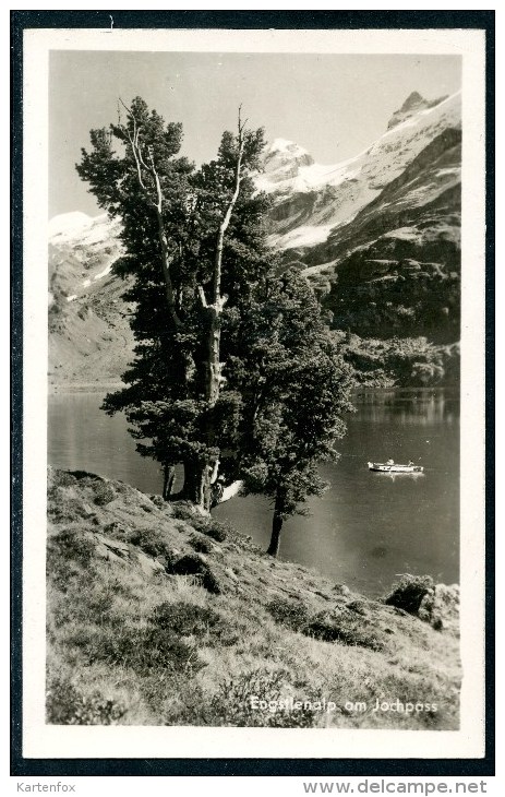 Engstleralp Am Jochenpass, Innertkirchen, 1964 - Innertkirchen