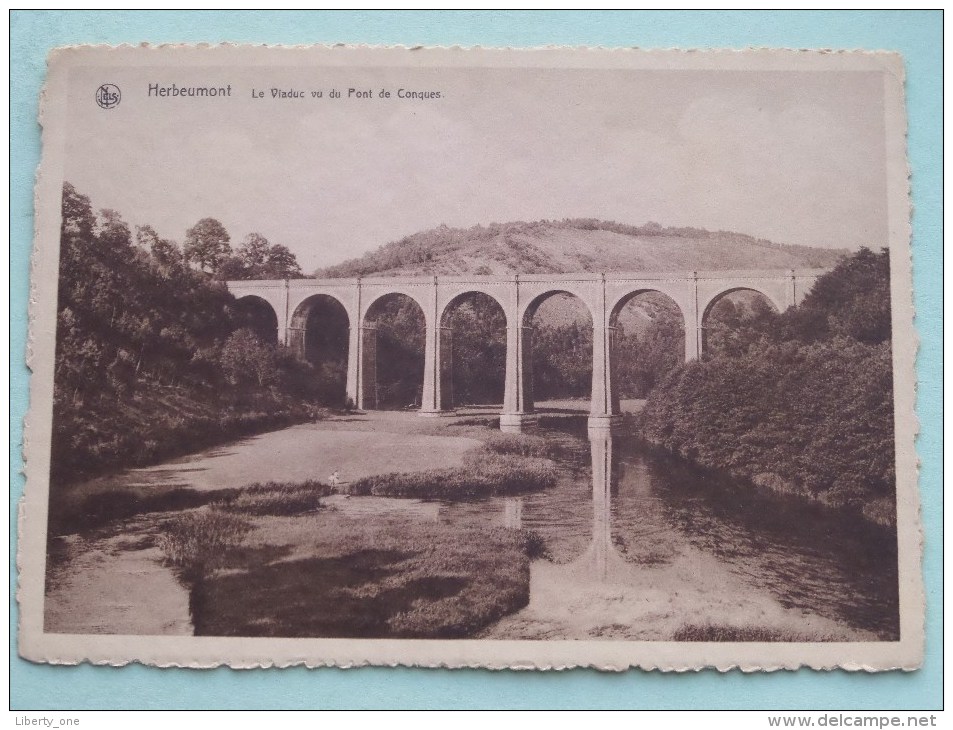 Le Viaduc Vu Du Pont De Conques / Anno 19?? ( Zie Foto Voor Details ) !! - Herbeumont