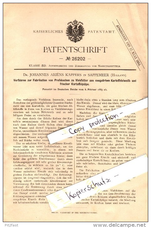 Original Patent - Dr. Johannes Kappers In Hoogezand-Sappemeer , 1883 , Fabrikation Von Tierfutter , Groningen !!! - Sappemeer